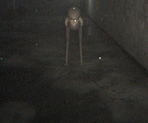 The Hound in Backrooms 2 in a concrete corridor